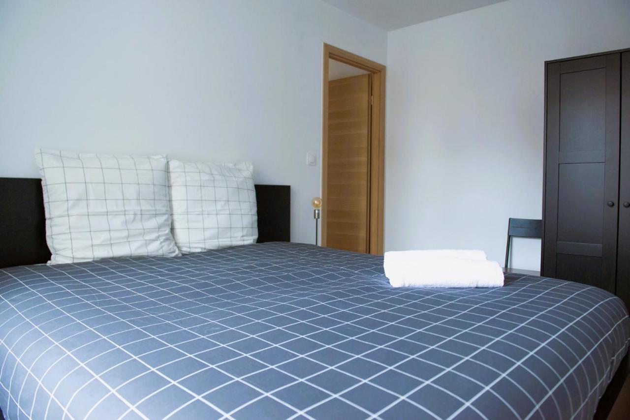 La Pomme Du President I Apartment Selestat Ngoại thất bức ảnh