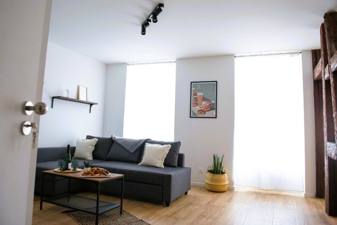 La Pomme Du President I Apartment Selestat Ngoại thất bức ảnh