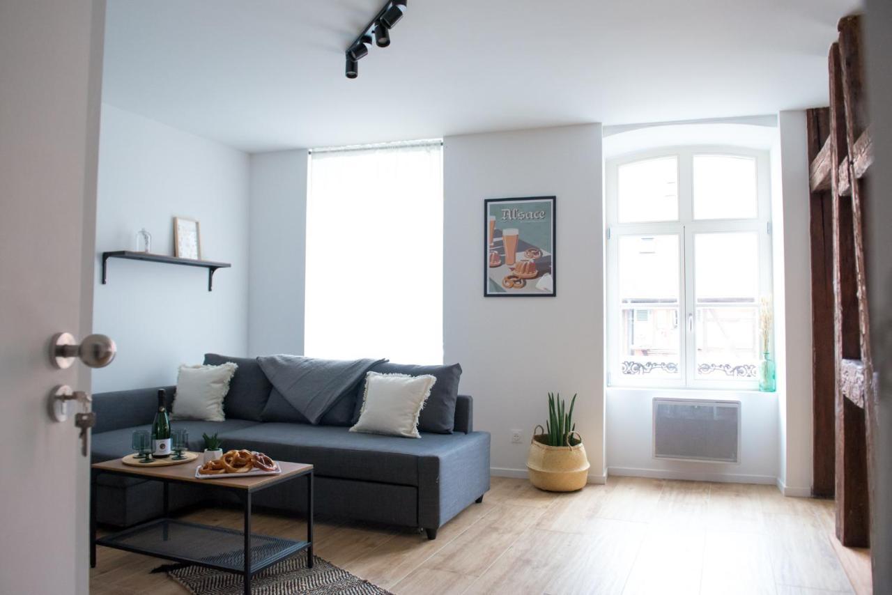 La Pomme Du President I Apartment Selestat Ngoại thất bức ảnh